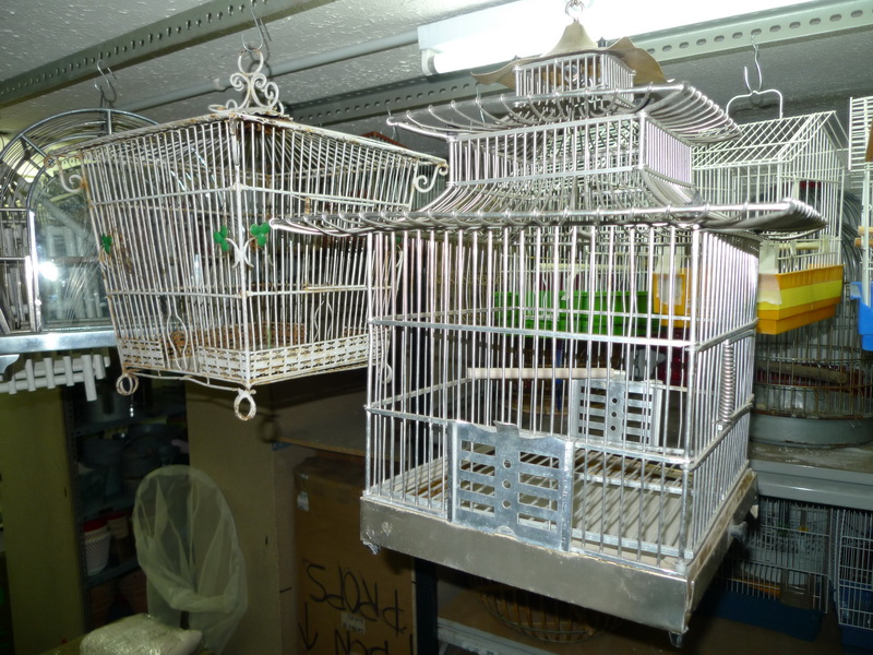 jaula pajaro